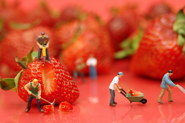 "Berry Hard Work" Foto de JD Hancock en Flickr